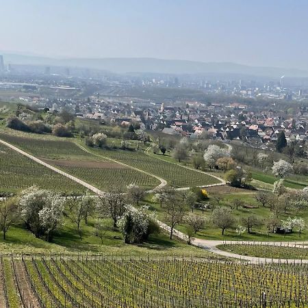 Landgasthof Rebstock Weil Am Rhein / Basel Extérieur photo