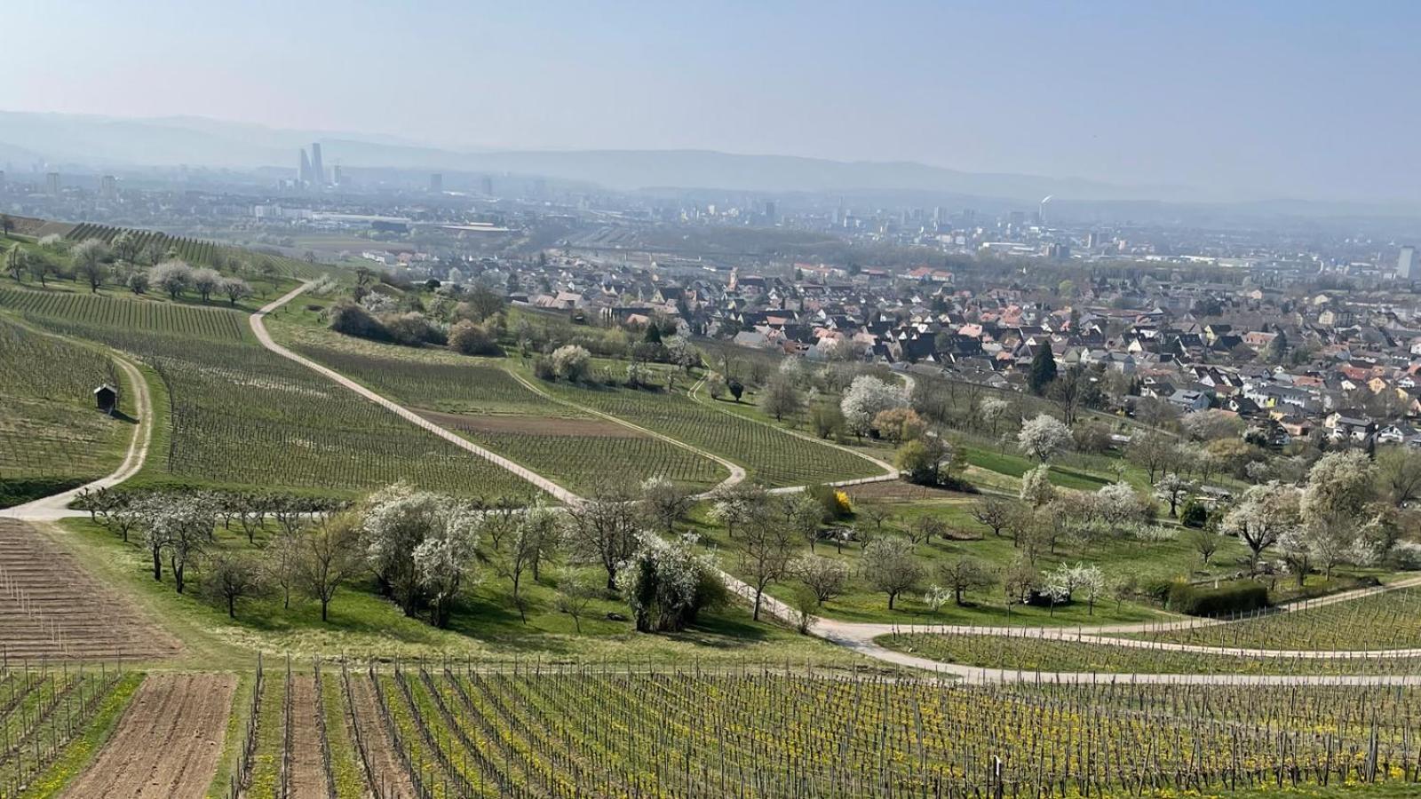 Landgasthof Rebstock Weil Am Rhein / Basel Extérieur photo